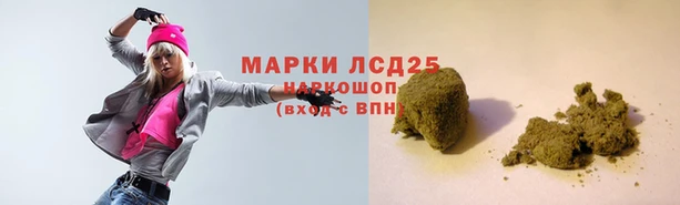 ГАЛЛЮЦИНОГЕННЫЕ ГРИБЫ Зеленодольск