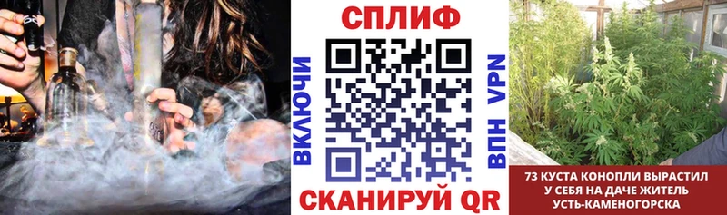 Купить  Выборг  Конопля ГИДРОПОН 